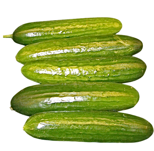 cucumbers, cucumbers png, cucumbers png image, cucumbers transparent png image, cucumbers png full hd images download